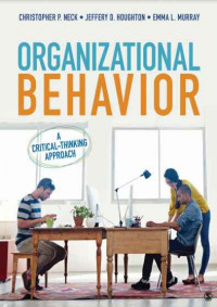 Organizational Behavior A Practical, Problem-Solving Approach
