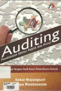 Auditing Pendekatan Sektor Publik dan Privat