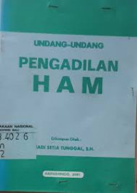 Undang-Undang Pengadilan HAM