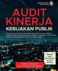 Audit Kinerja Kebijakan Publik