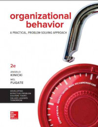 Organizational Behavior A Practical, Problem-Solving Approach