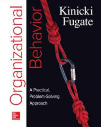 Organizational Behavior A Practical, Problem-Solving Approach